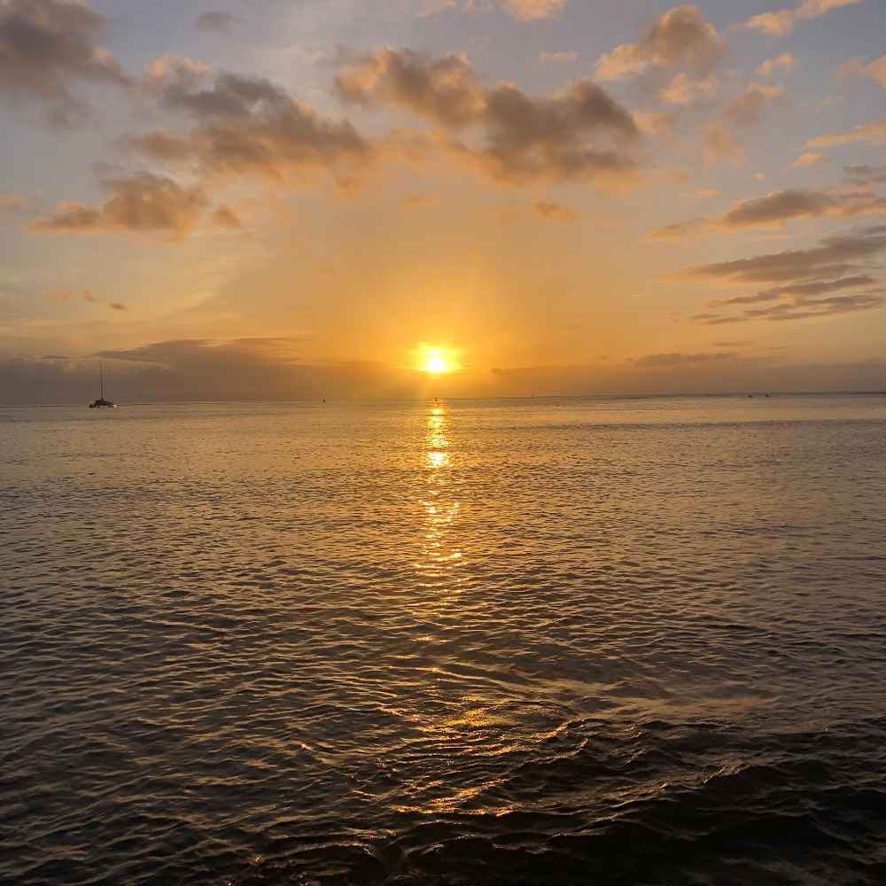 Meet your Posher, Sunset Isle